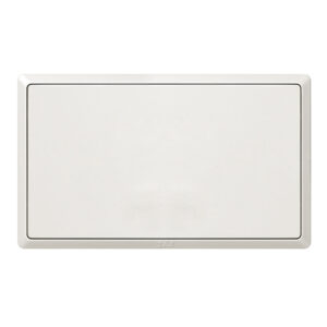 INFINIT 2G BLANK PLATE WHITE