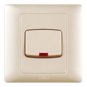 T&J SWITCH GEYSER 1 GANG DP WITH NEON DK220L PS